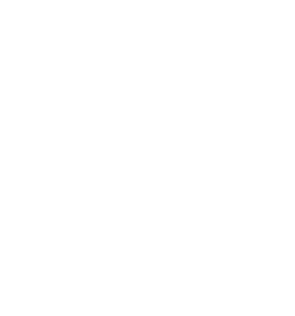 Dommelsch_Shield_RGB.png